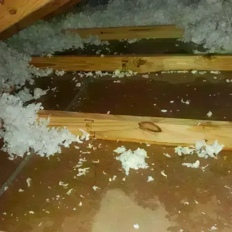 Attic Water Damage in Germantown, WI